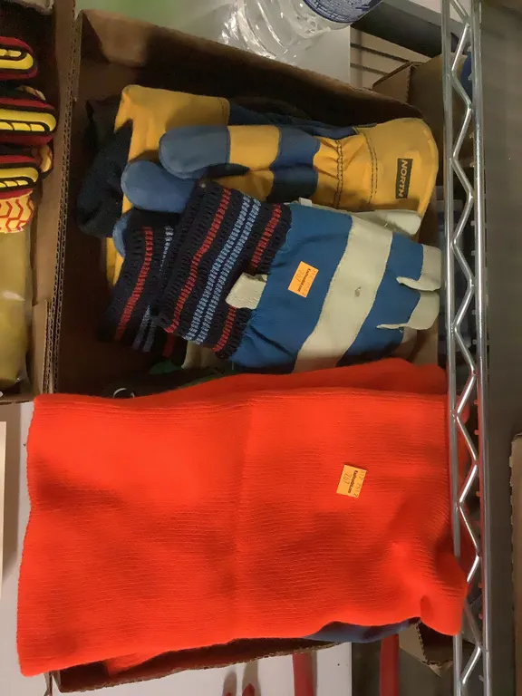 Box gloves and head gear