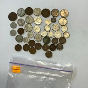 Bag Canadian Coins (41)