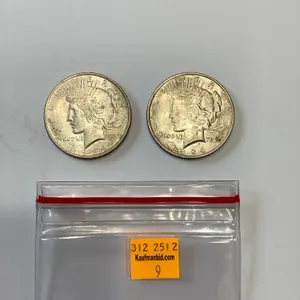 2 - 1924 Peace Silver Dollars