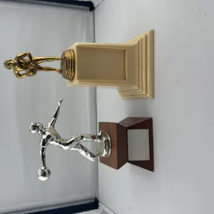 (2) Misc. Trophies