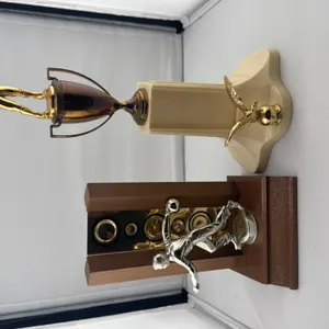 (2) Misc. Trophies