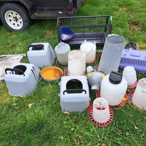 Grouping of feeders, cage, heat lamps