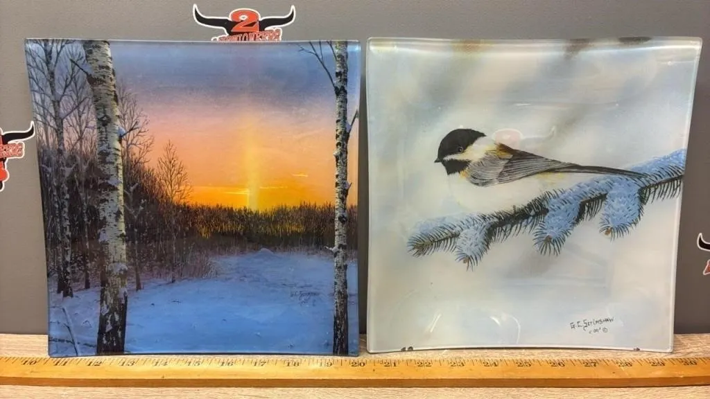 2 Glass Plates w/Glen Scrimshaw Pictures.