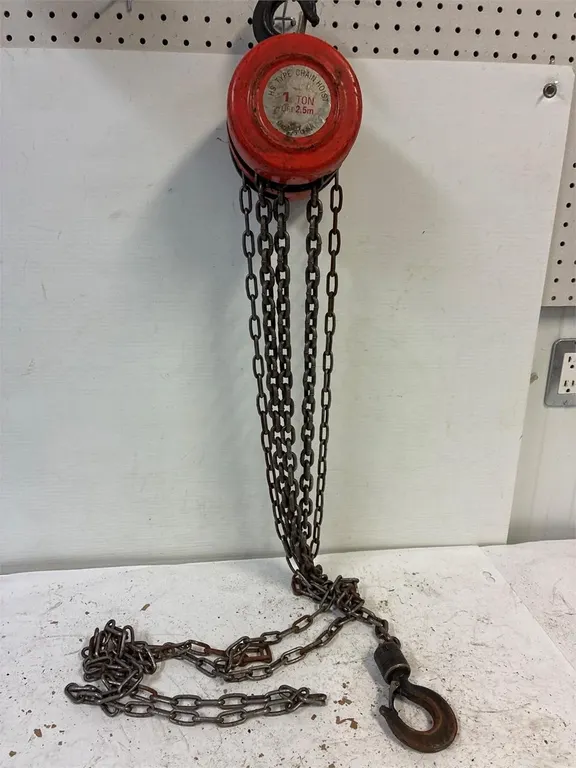1 ton chain hoist.