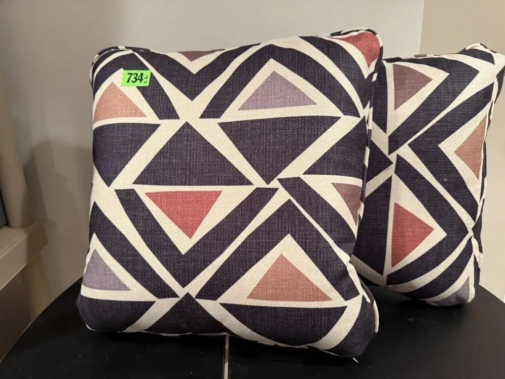 NEW throw pillows (2)