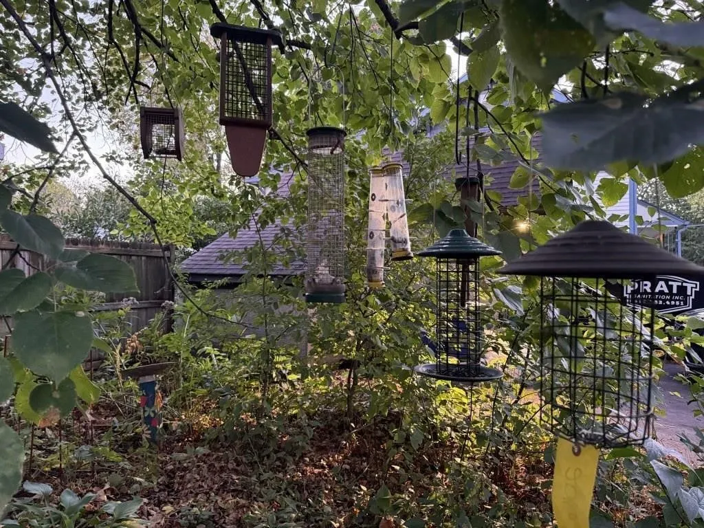 Bird feeders (8)