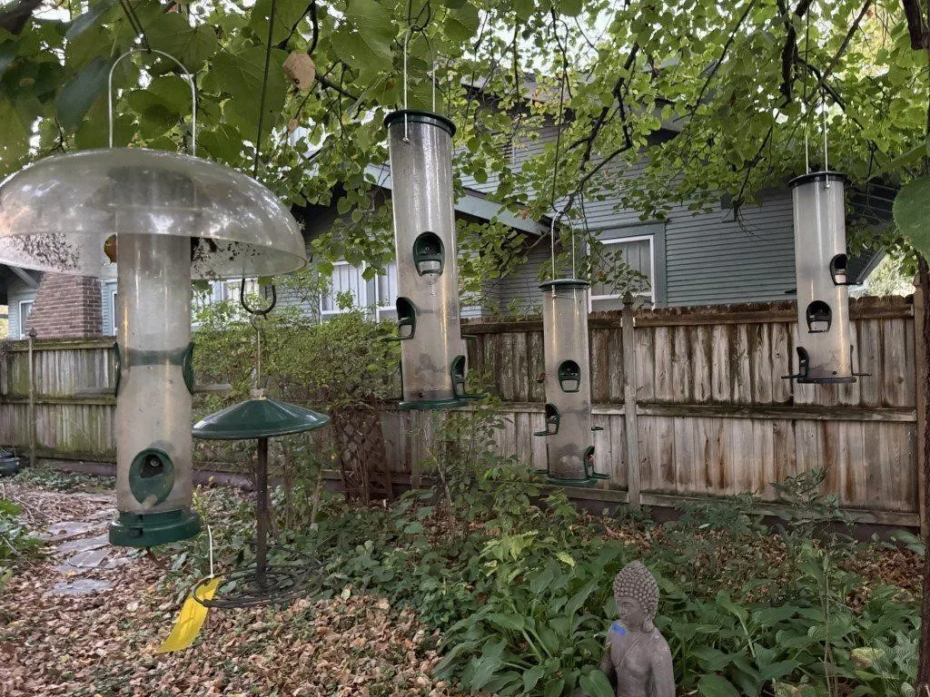 Bird feeders (5)