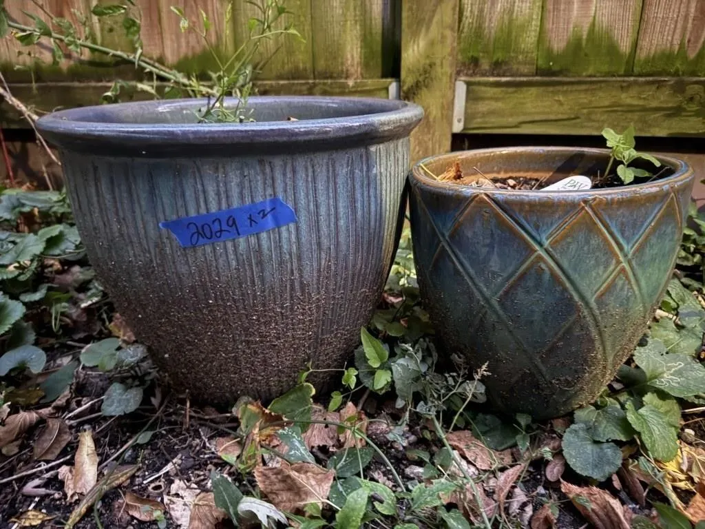 Flower pots (2), contents included