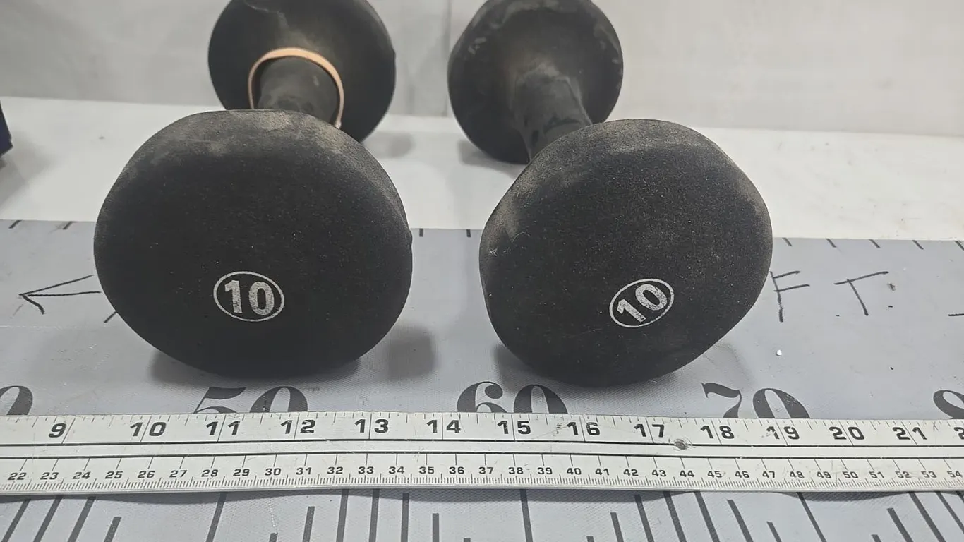 10 lb. weights (2)