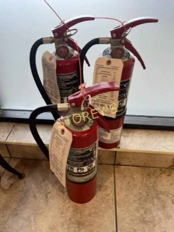 3 Fire Extinguishers