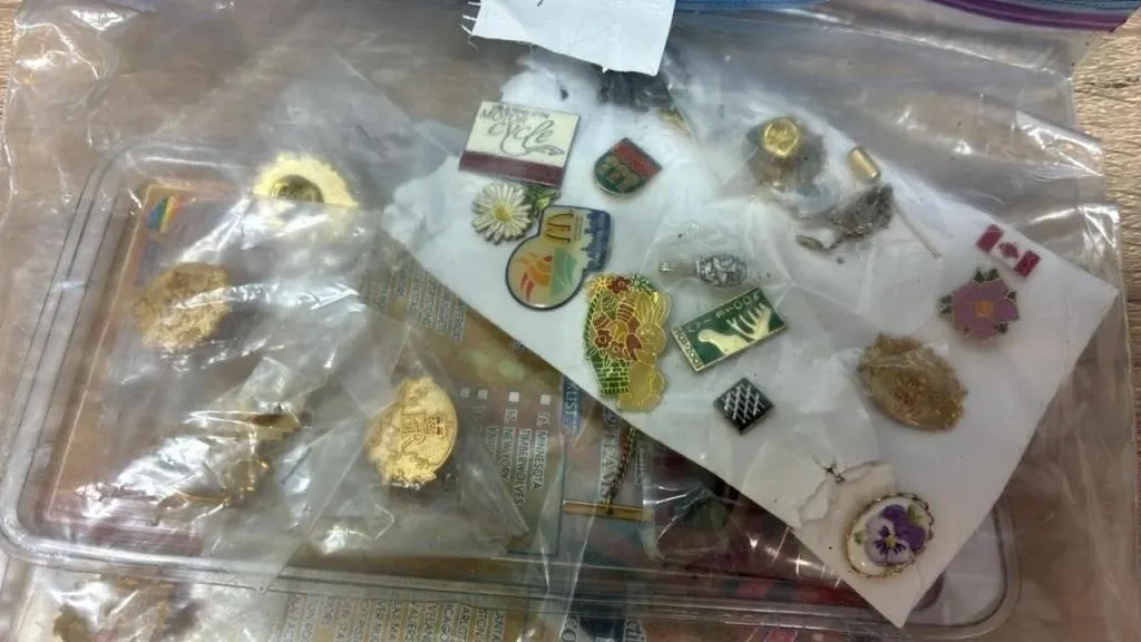 Asst. Pins.