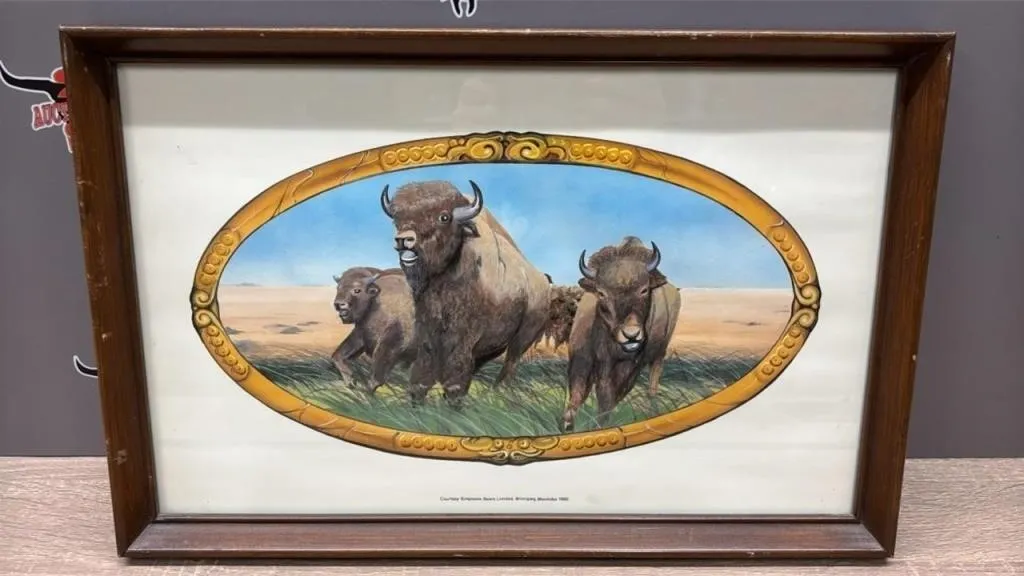 Framed Buffalo Print. Courtesy Simpson-Sears