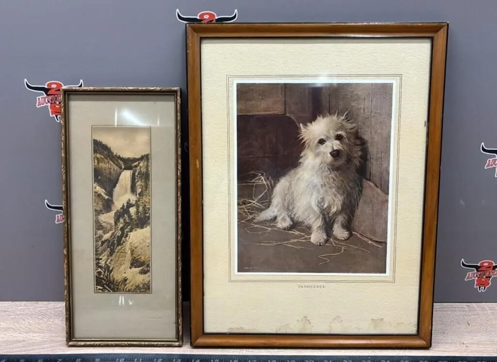 Asst. Framed Prints. Water Damage Shown.