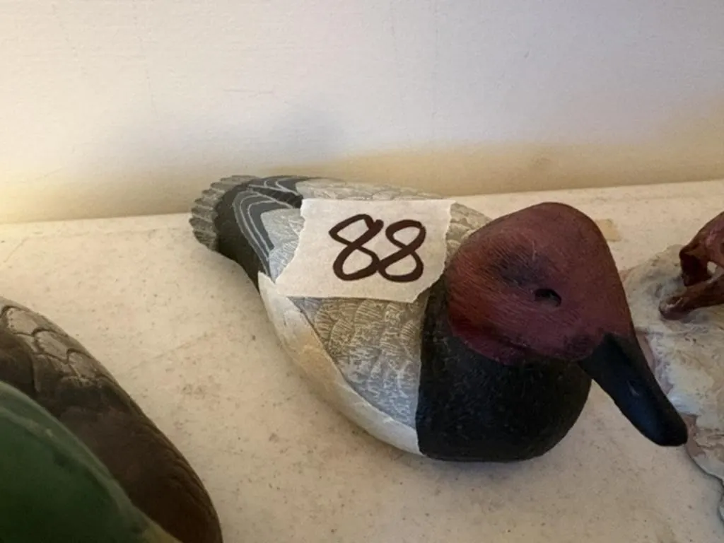 DUCK