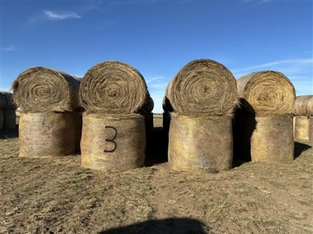 Alfalfa/Crested Wheat (2026 Crop) (Stack #3)