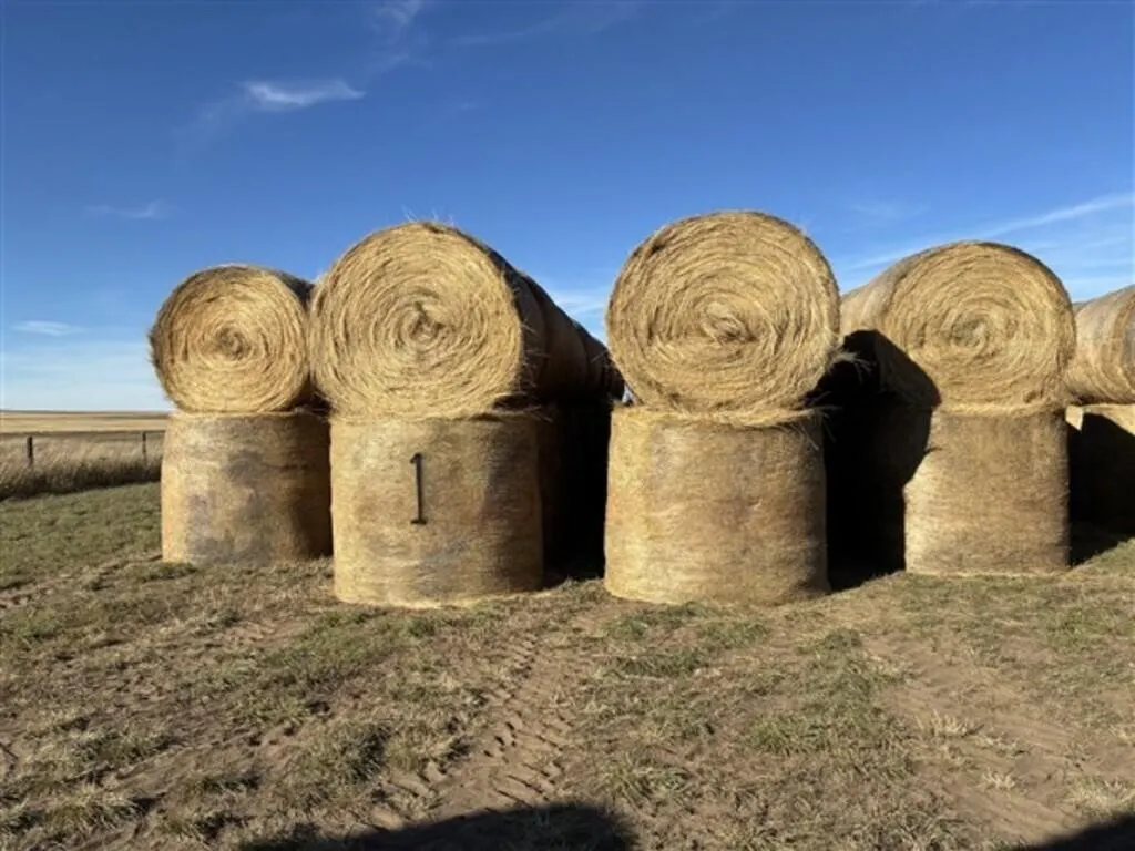 Alfalfa/Crested Wheat (2026 Crop) (Stack #1)