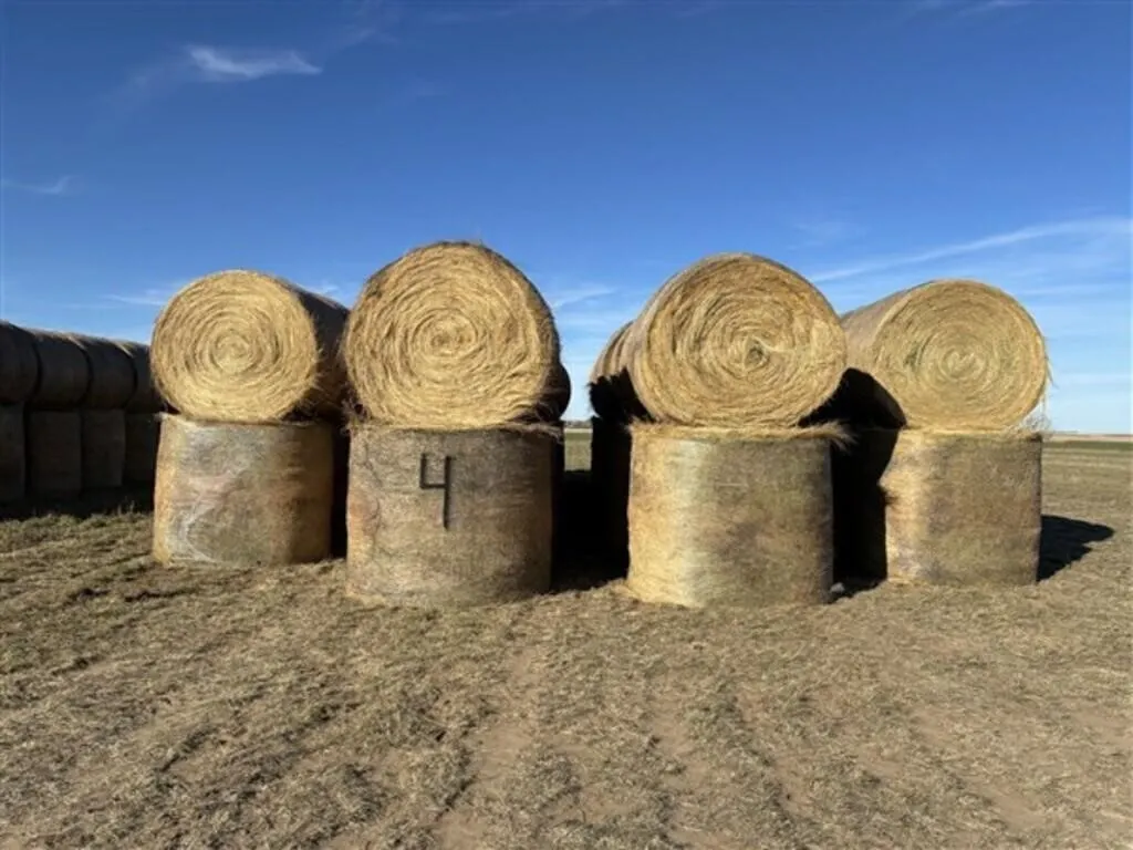 Alfalfa/Crested Wheat (2026 Crop) (Stack #4)