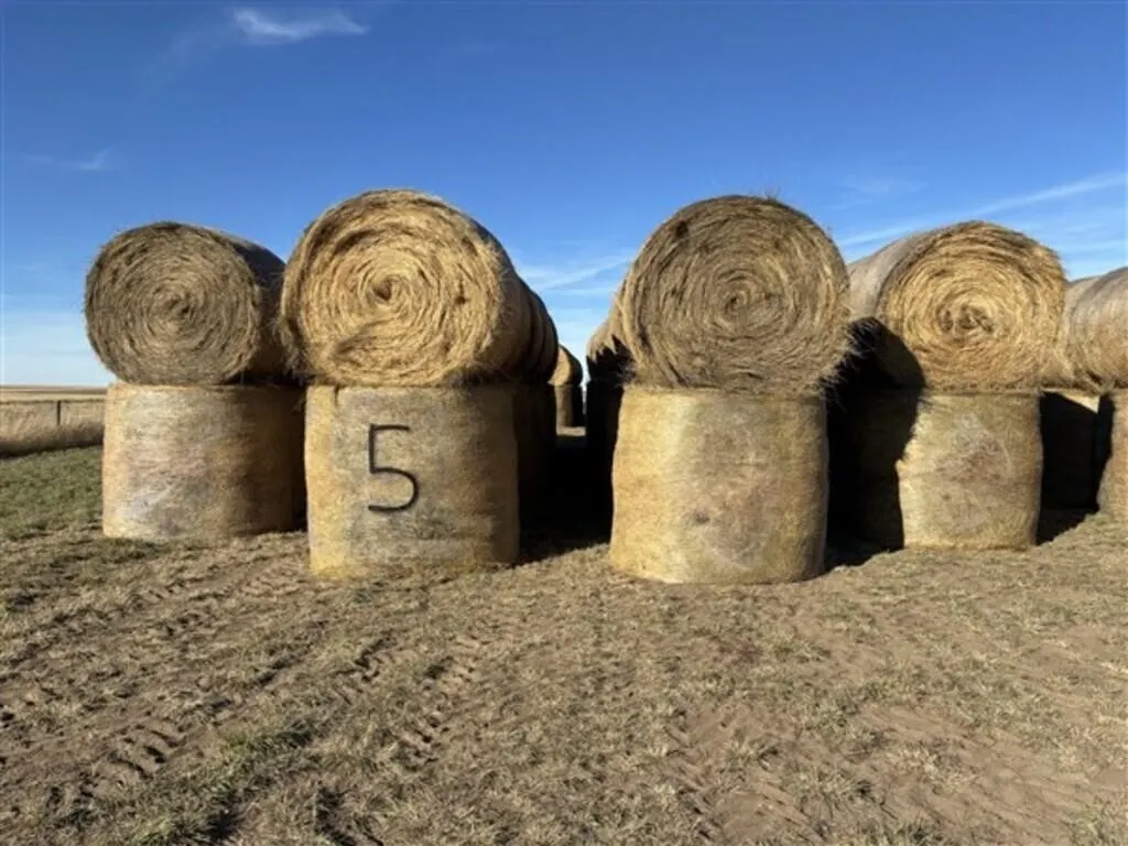 Alfalfa/Crested Wheat (2026 Crop) (Stack #5)