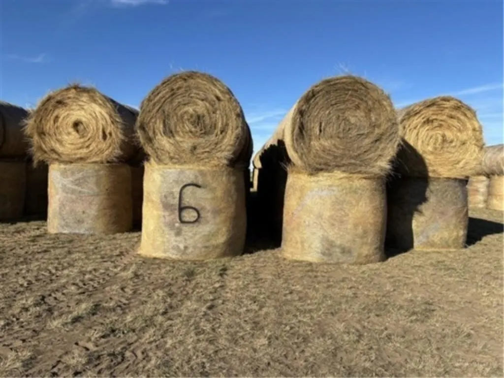 Alfalfa/Crested Wheat (2026 Crop) (Stack #6)