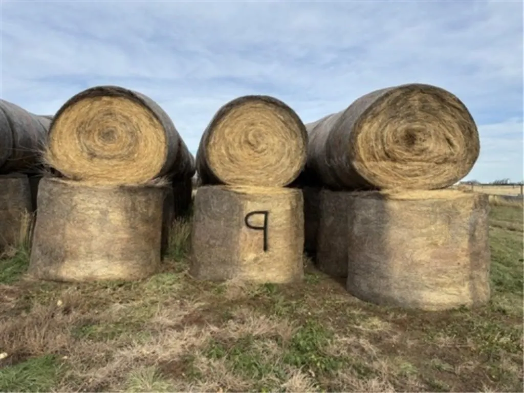Alfalfa/Crested Wheat (2025 Crop)(Stacks #9)