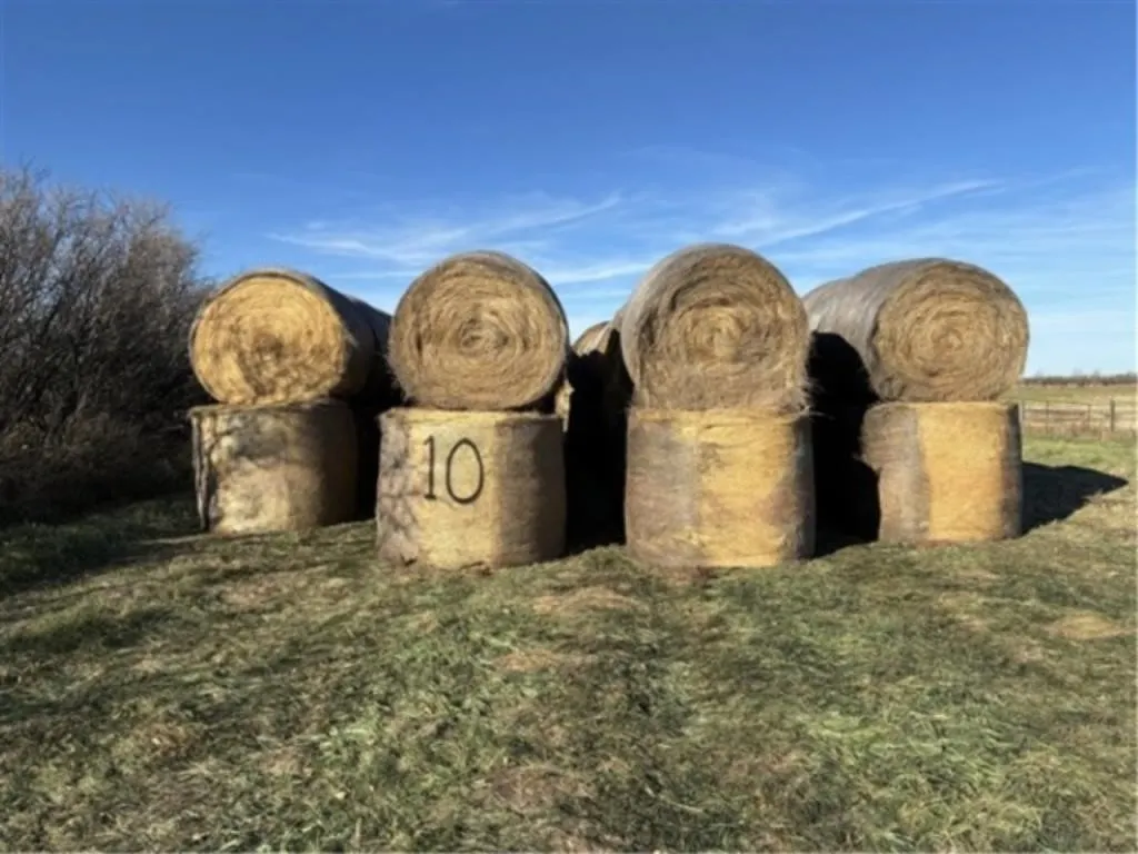 Alfalfa/Crested Wheat (2025 Crop)(Stack #10)