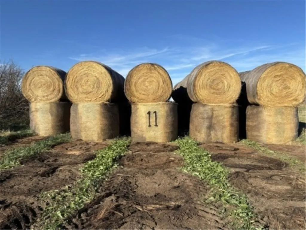 Alfalfa/Crested Wheat (2025 Crop)(Stack #11)