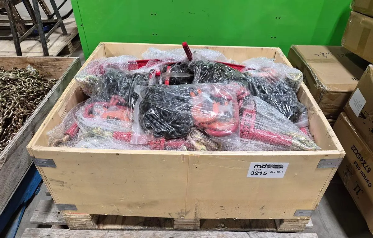 Landhonor LHR-LS45 Rigging & Chain Kit
UNRESERVED