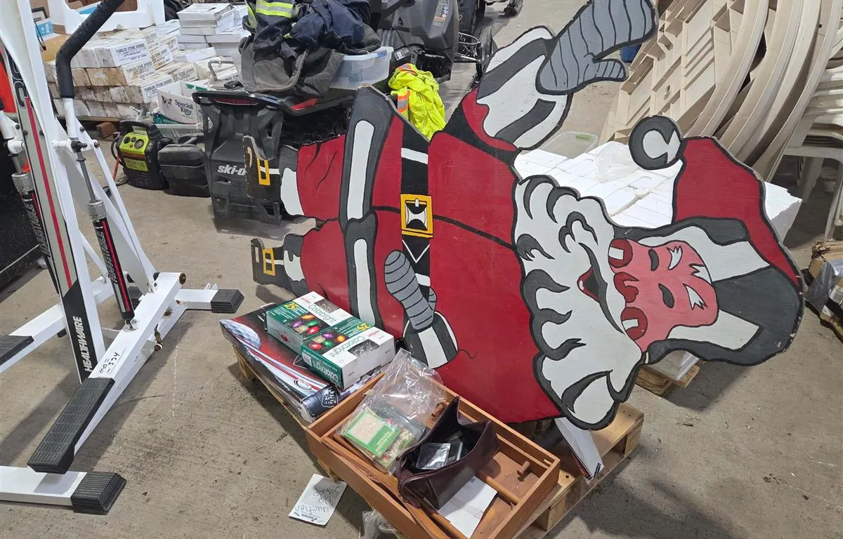 Assorted Christmas Decor & Household Goods
UNRESERVED