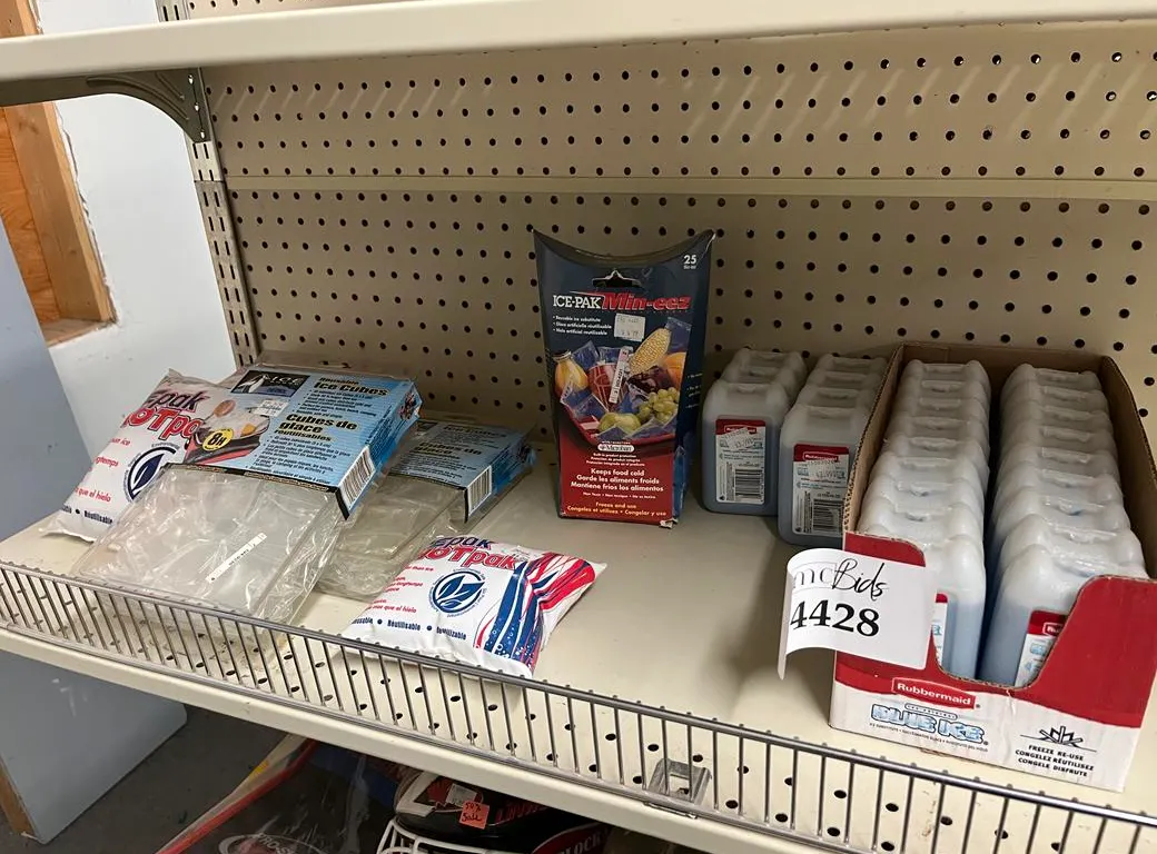 Assorted Ice Packs