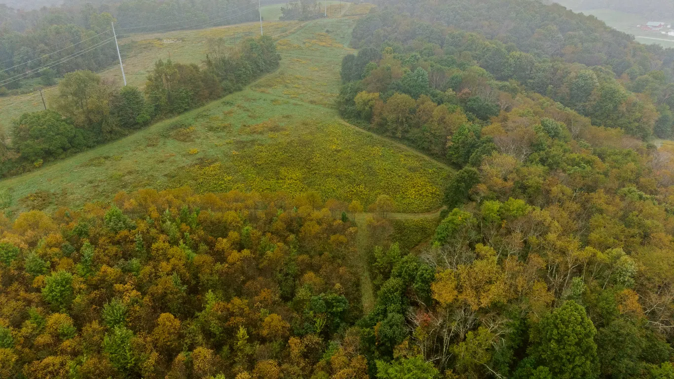 PARCEL 1: 12+ ACRES | 12X28 CABIN | HUNTING BLIND