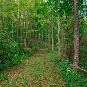 Parcel 2: +/- 45.4 Acres