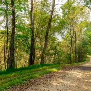 Parcel 3: +/- 19.1 Acres