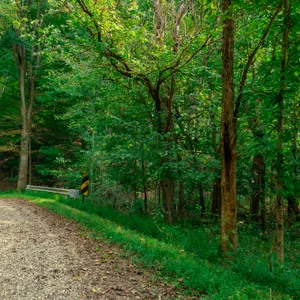 Parcel 4: +/- 13.7 Acres