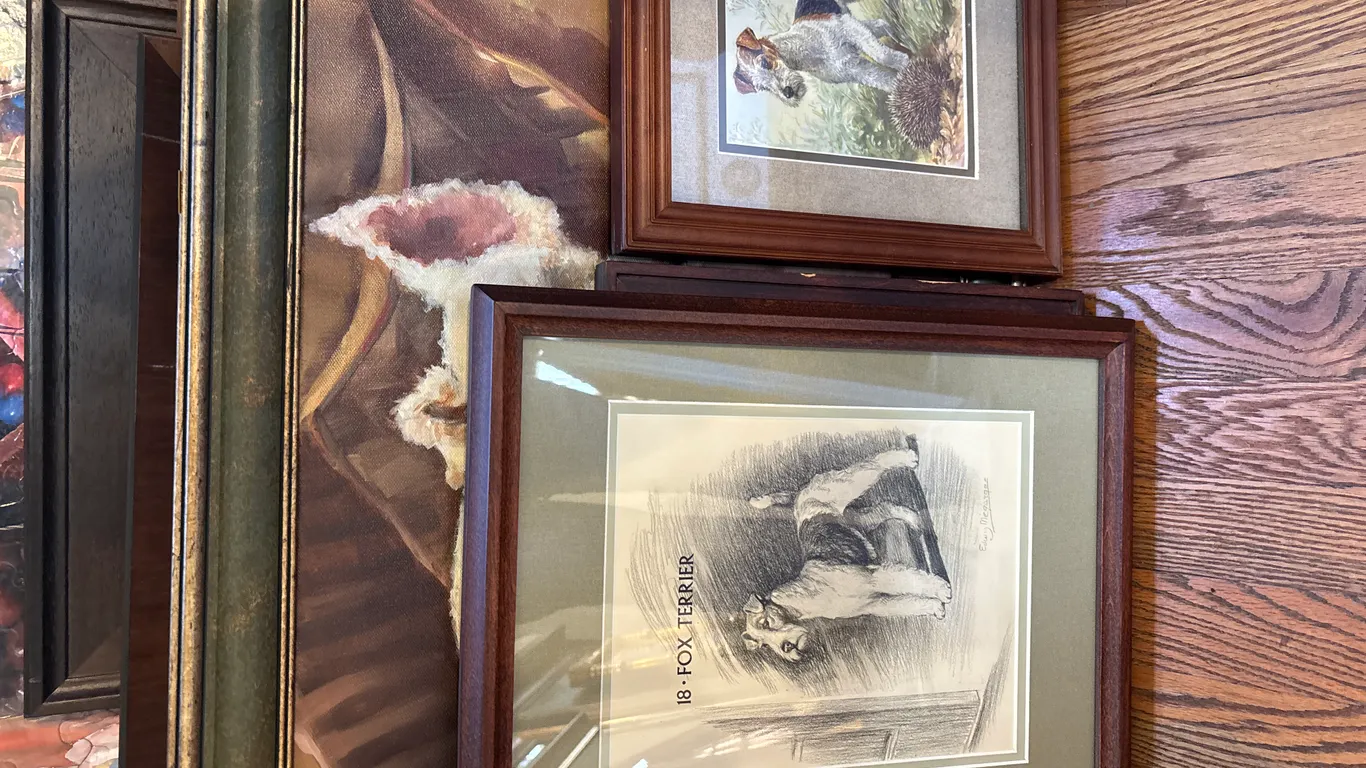 4 Dog Pictures