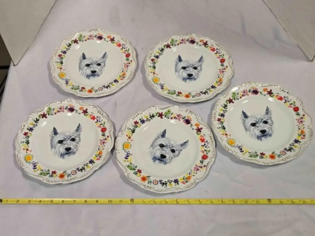 5 White Ceramic Plates, 9" across