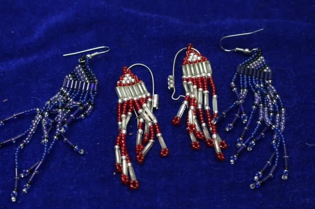 2 Pairs Beaded Fringe Dangle Earrings