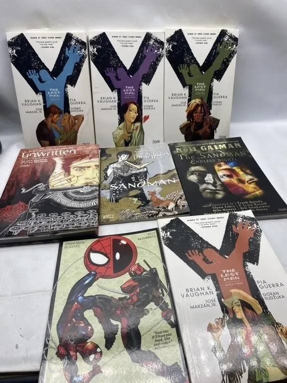 Vertigo Graphic Novel Lot Y The Last Man, Sandman