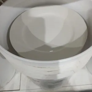 Pail w/ 25 White Restaurant plates
