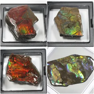 FEATURED ITEMS: AMMOLITE, ALBERTA'S OFFICIAL GEMSTONE