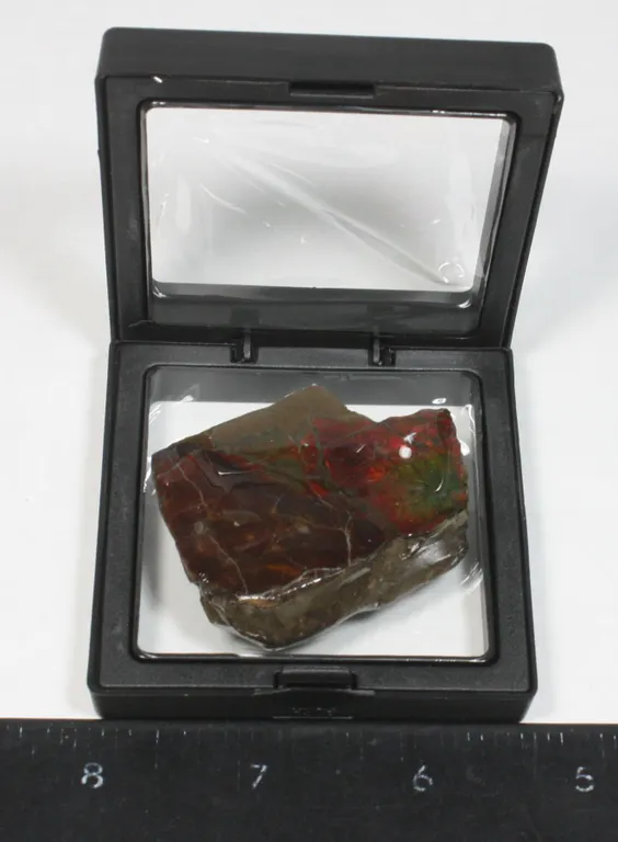 AMMOLITE, ALBERTA'S OFFICIAL GEMSONTE. ONE PIECE