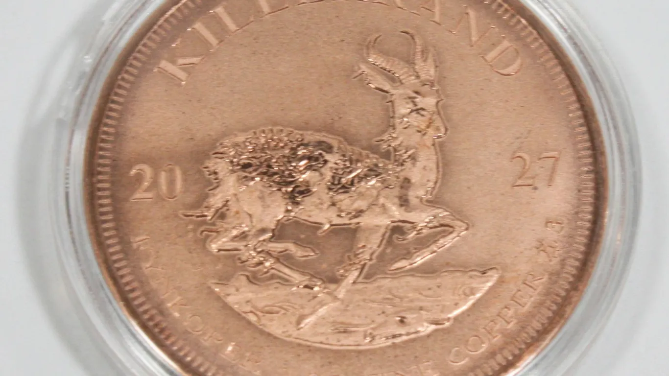 ZOMBUCKS WORLD KILLERAND 1 OZ COPPER ROUND