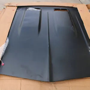Cowl Hood