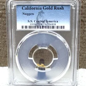 California Gold Rush Nuggets PCGS S.S. Central America