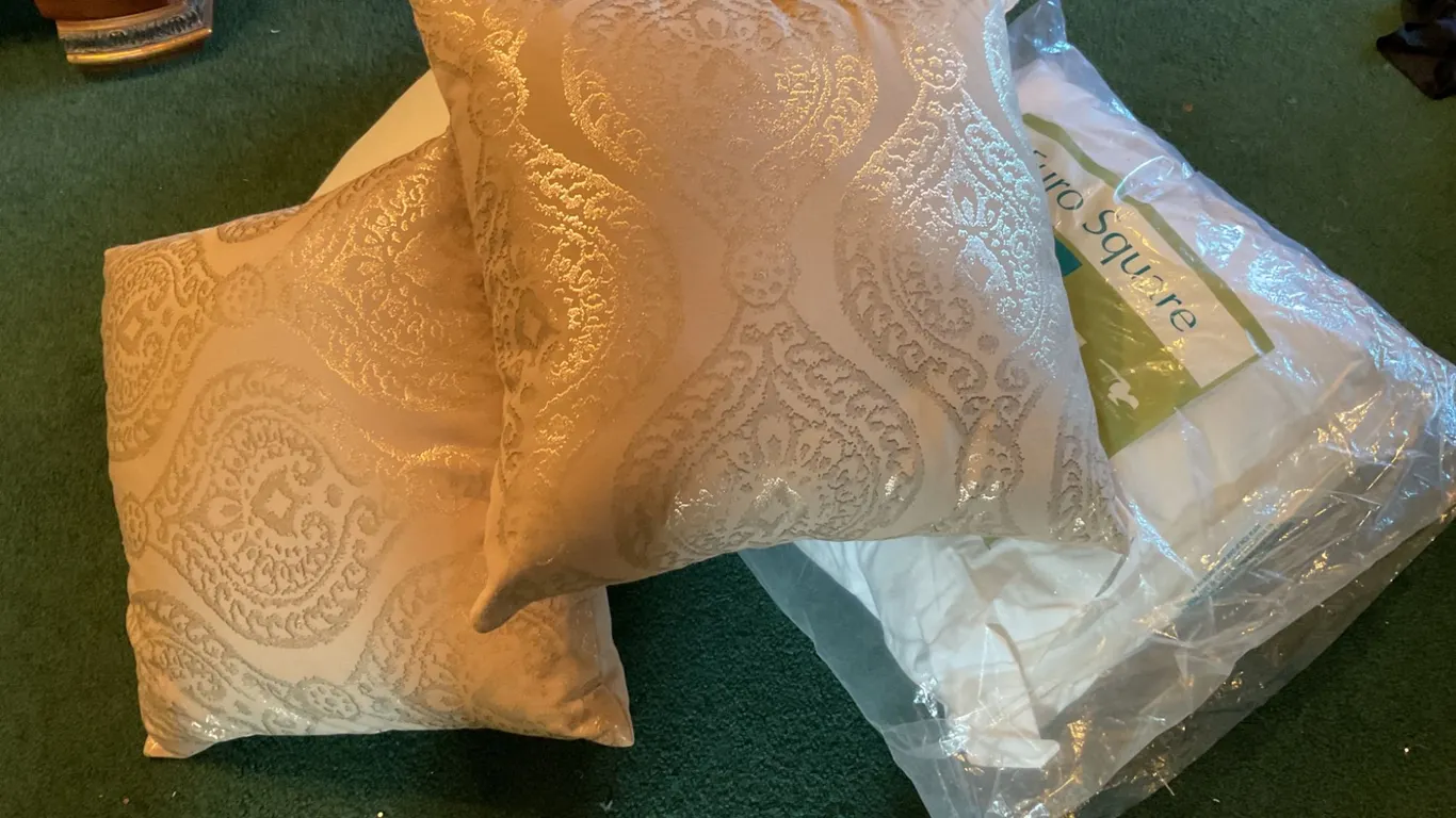 Two Decorative Pillows and One Euro Square Pillow Insert