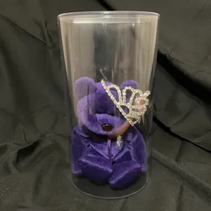 Princess Diana Ty Beanie Baby in Display Case With Decorative Tiara