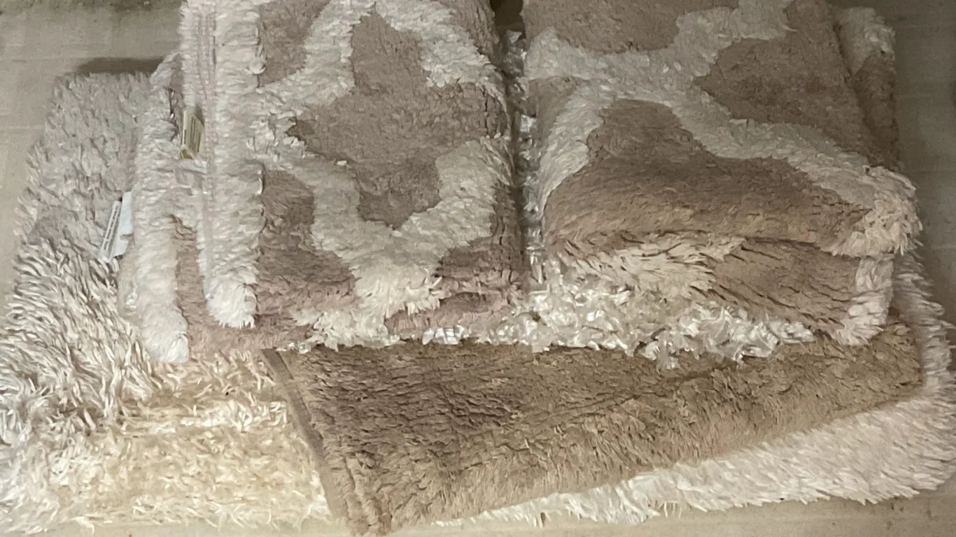 Miscellaneous Sized Rugs in Neutral Tones