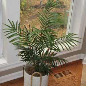 Artificial Palm Plant