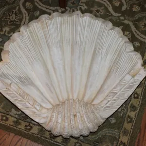 Seashell Decorative Bowl