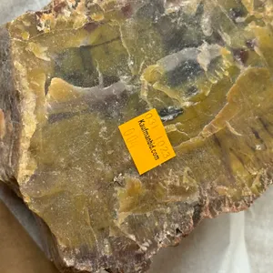 4 Pounds Of Western Petrified Wood With Rainbow Colors
