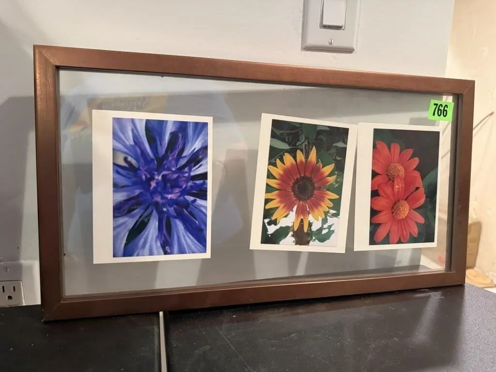 Floral photograph framed collage